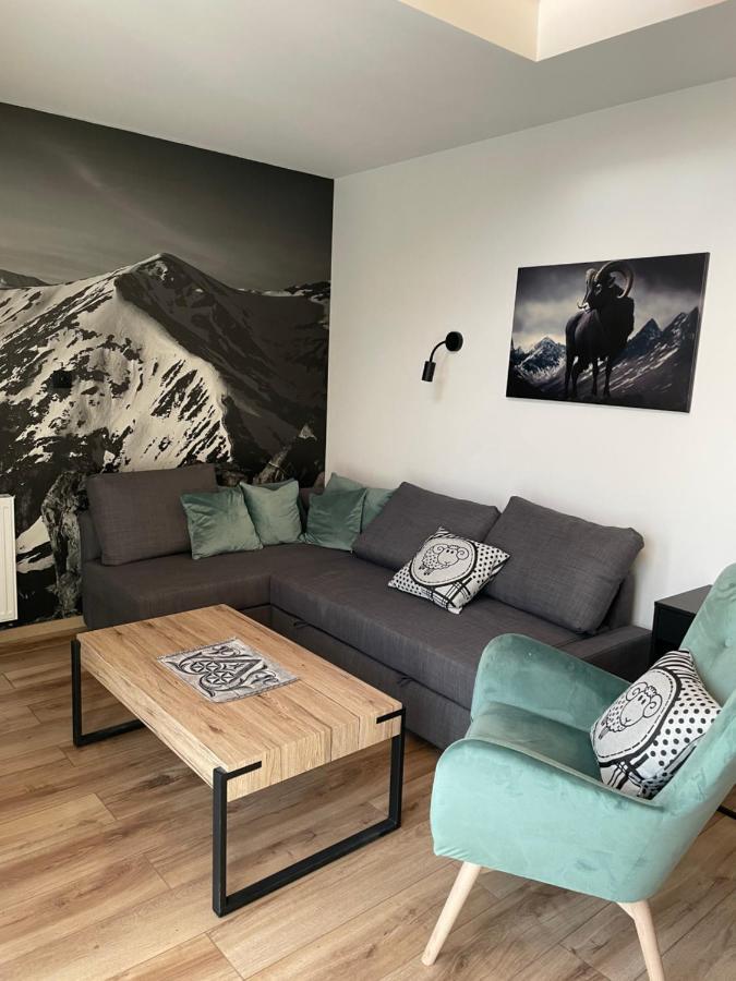 Czarny Baran Leilighet Zakopane Eksteriør bilde